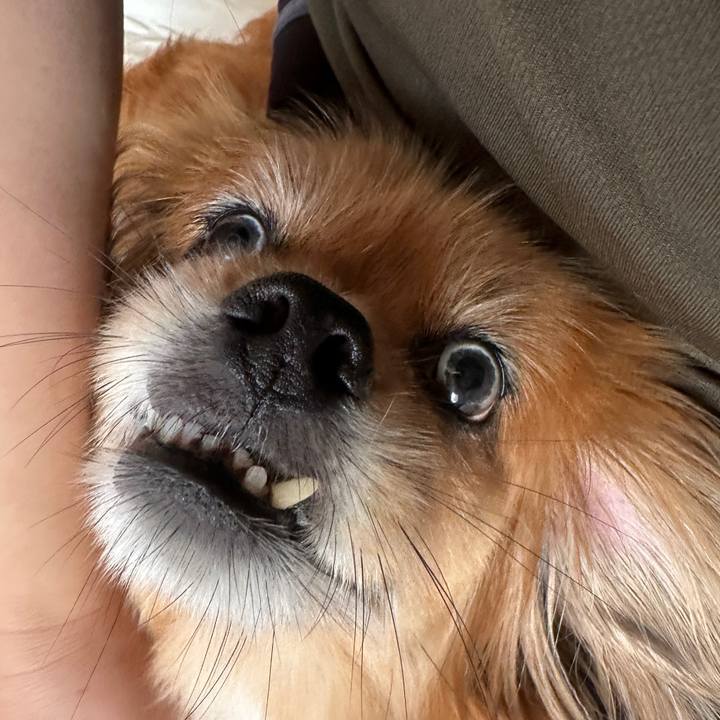 41e5ae82 69ff 4f31 87e6 2fba8dc5f917 1721519795109