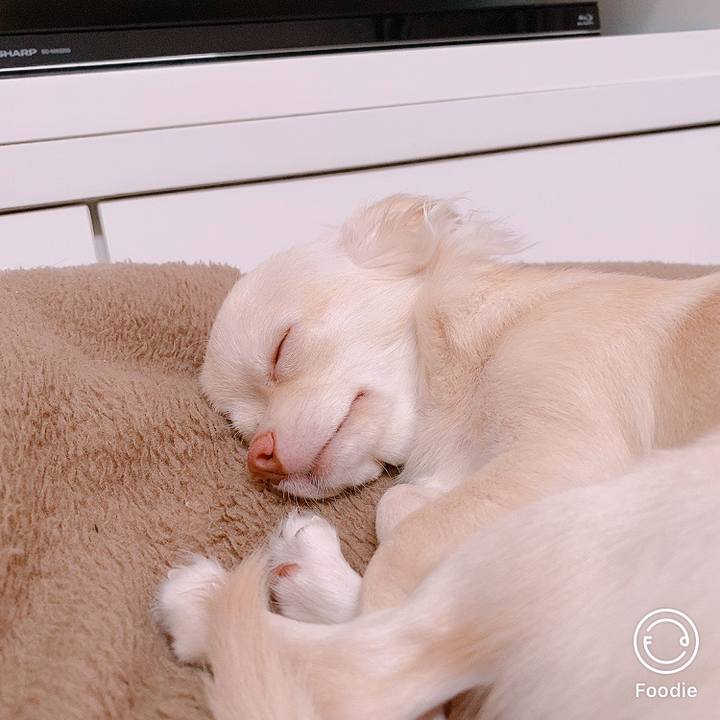 41e5bb56 b9e5 4be3 b6a3 c8f22da8afe4 1600222544126