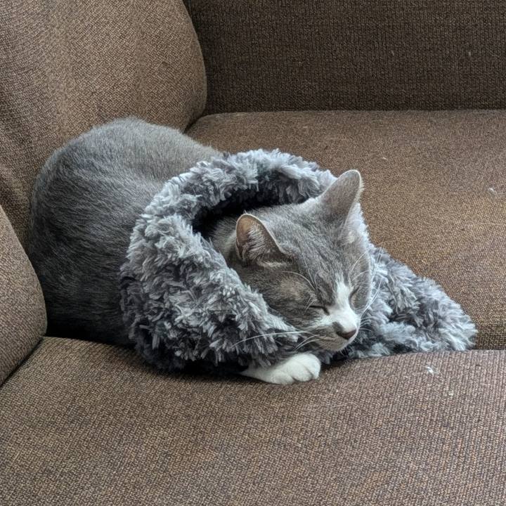 41e5d9ff 2ffe 4a41 95e9 a5c9a0382f19 1730772512107