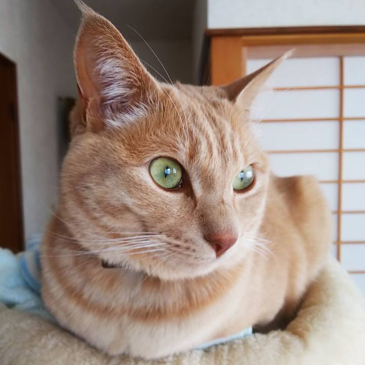 41e6161d 3943 4528 9154 6111ce80f3e9 1618550798621