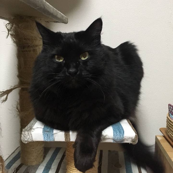 41e61905 d82e 4413 8911 2d56c4b80e51 1520223215782