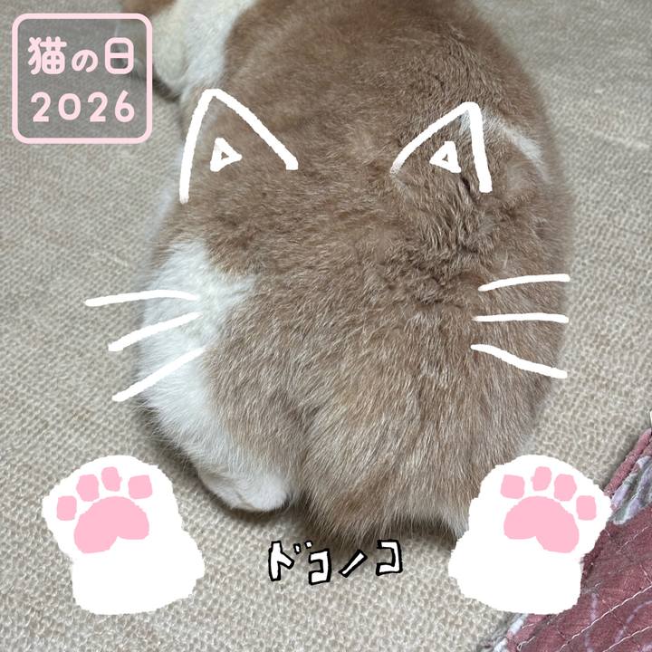 41e621e1 fc20 497a 9f87 442adbea7976 1771807828183