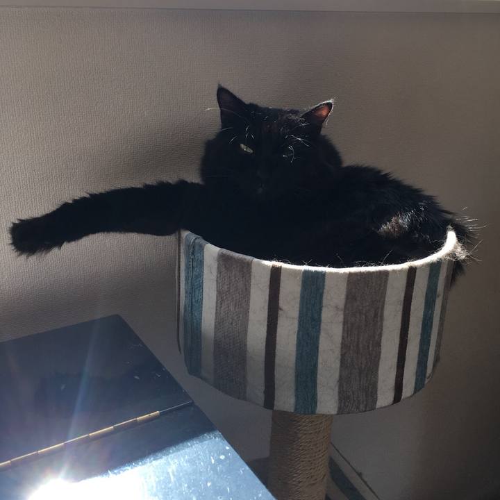 41e64bad d0a4 415d 862e fbf95a9ef143 1536195937216