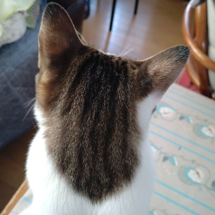 41e660c6 bc49 4dfd 8832 1b14fb80e8a9 1695423194873