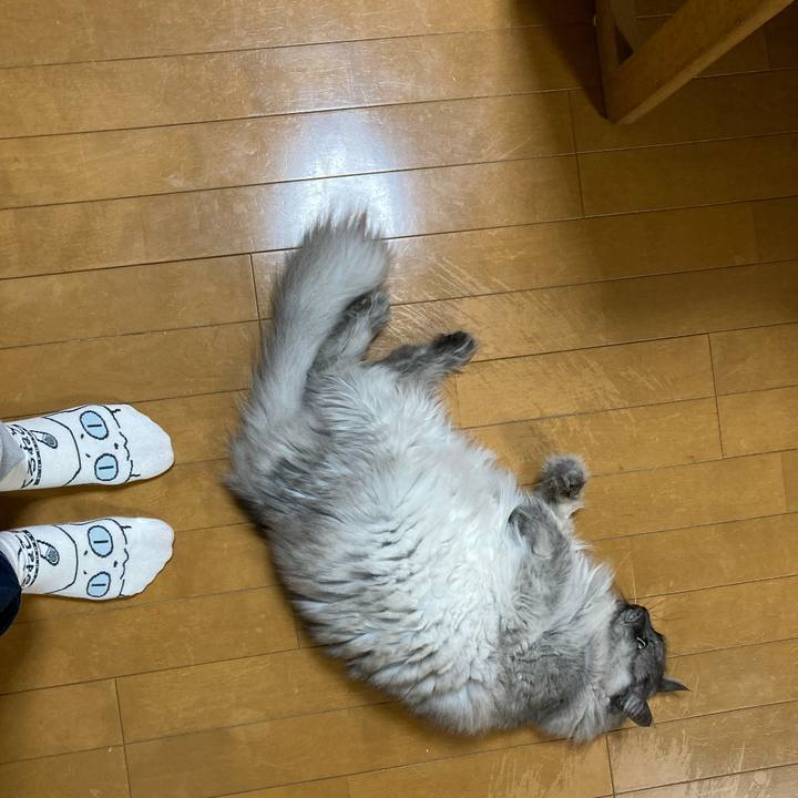 41e66535 25a4 49c2 80da 7903e94b026c 1716868075836