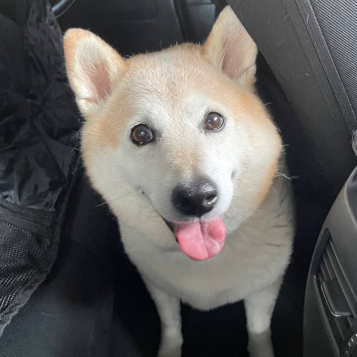 41e692df 421f 439d 8427 e2f7e5fb44de 1652432631738