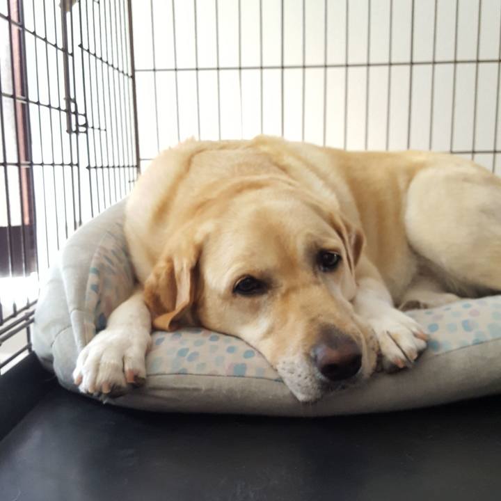 41e6a96d 64b6 41cd 8052 fdb406b94347 1570233159342