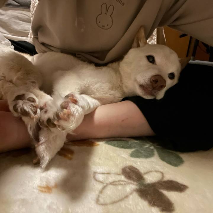 41e6d438 3dfd 4e58 ae25 eafe63f60a5a 1668971112446