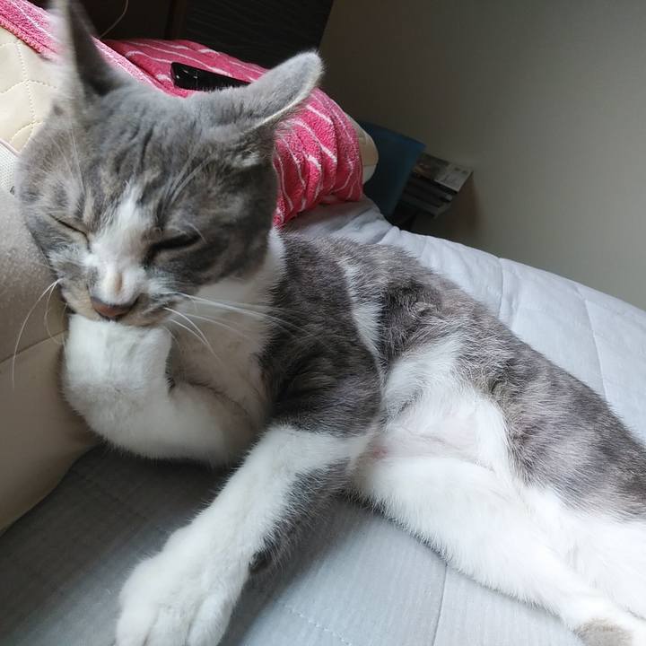 41e708cf cd53 469c be36 2b976830cf4f 1589236404254