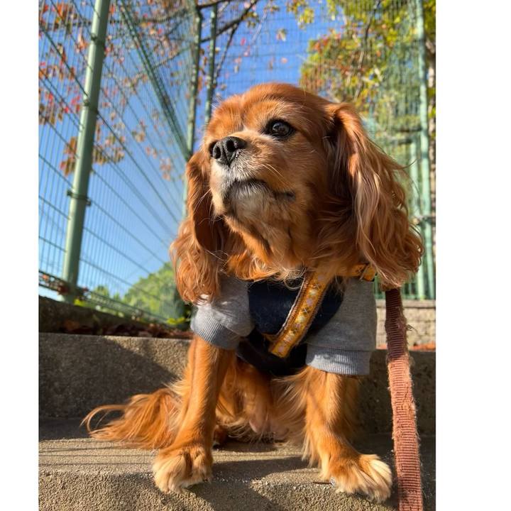 41e71c46 0d42 48e3 a4f0 0404ef6545c6 1700352555696