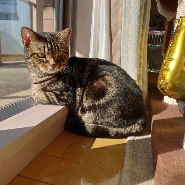 41e71c58 1aaf 4764 a578 f0dc3c13ebf2 1670556449350