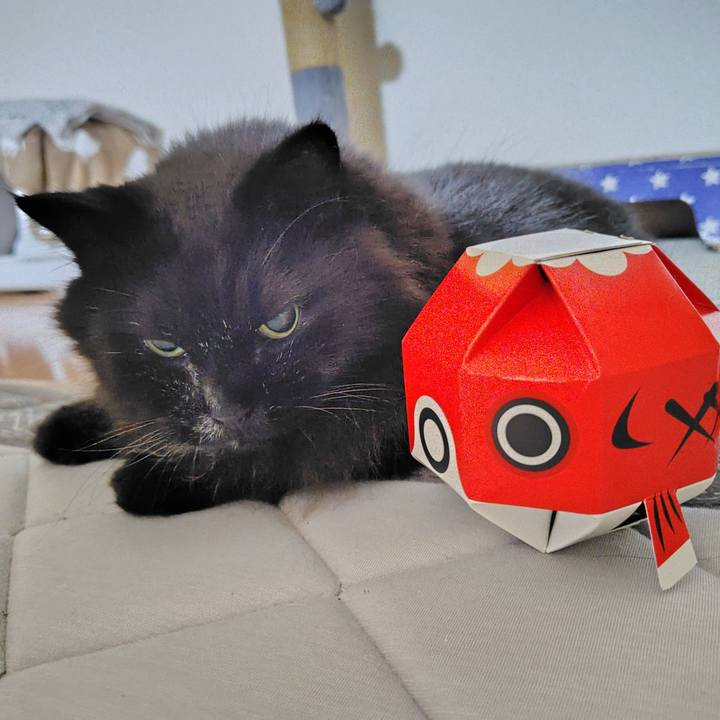 41e72463 5594 440b b556 e3246bb9219c 1756559928419