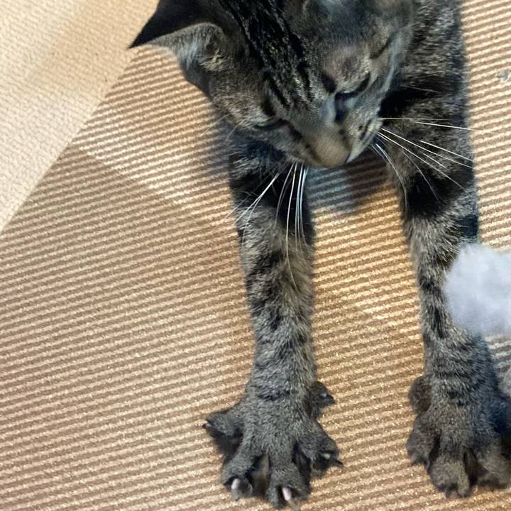 41e76426 a258 40c3 8d54 2aef43ac2862 1758294033601