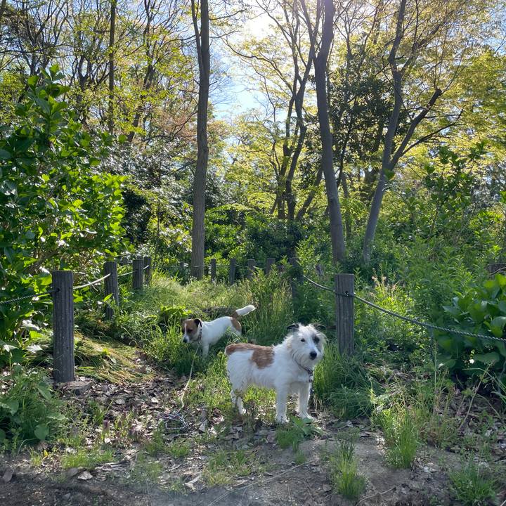 41e7758c bd69 42fe 9f97 d7361e2deb84 1682208617512