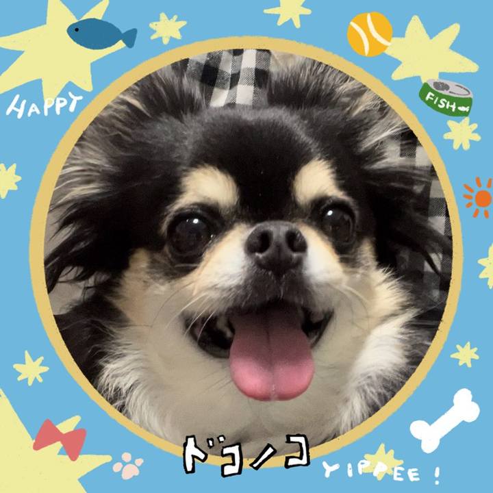 41e7b38f 20da 4669 8c91 5497c9b4c6ab 1720858334467