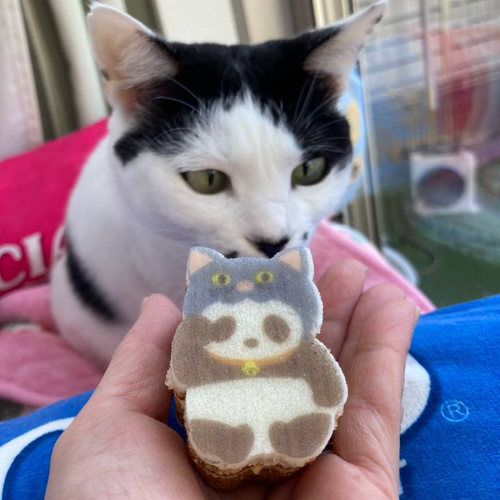 41e7c7be 74b5 4046 8db3 b7770248b1c5 1762735334464