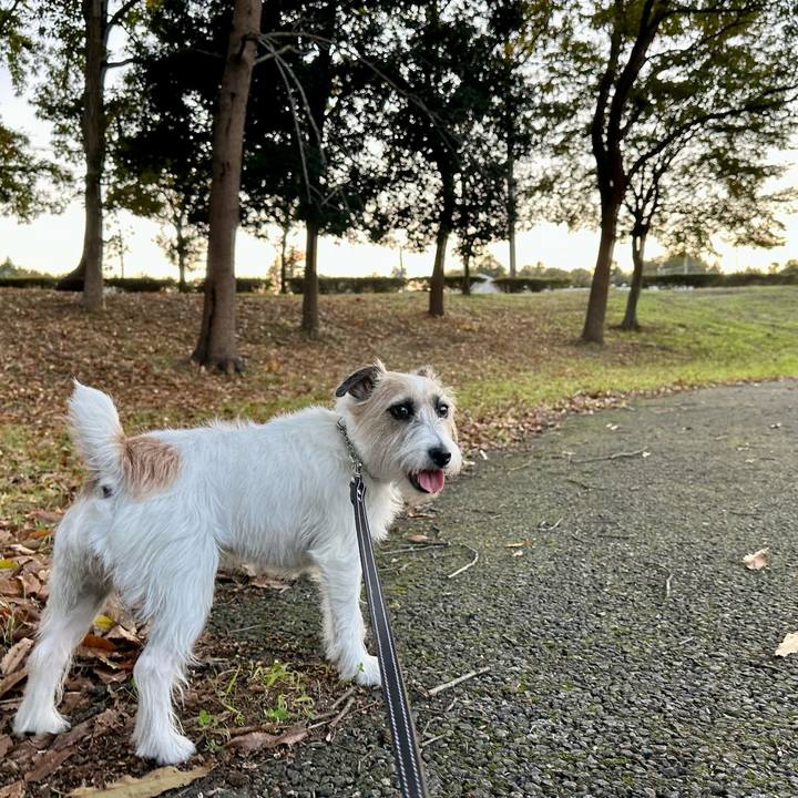 41e7cb66 ae01 4e59 9d76 040bd8cdfda4 1732480868275