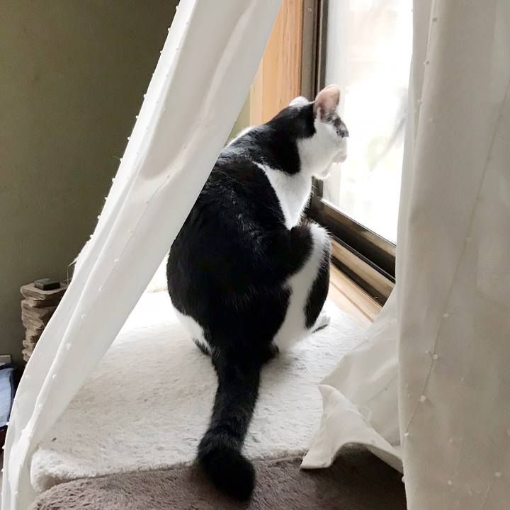 41e7e717 8b46 4497 ad8e 1ebe45f9d325 1536716406959