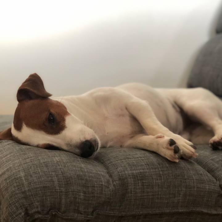 41e81ce3 0671 4779 9aae a788b4358758 1565690479603