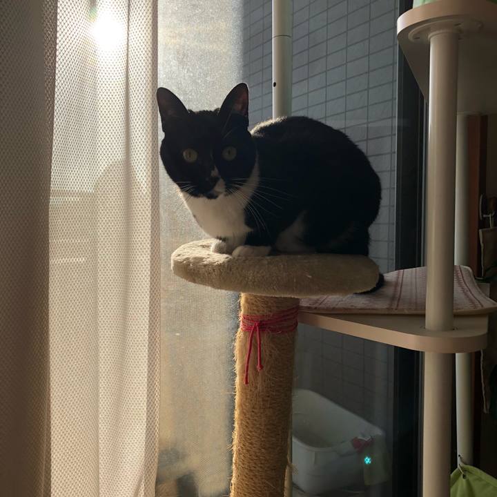 41e8365b bb29 4766 b70f cf97ae2788c2 1519163339576