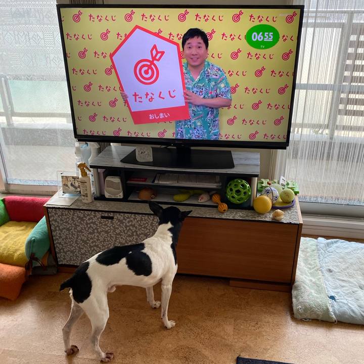 41e8a780 cf47 4214 a11f 42865e63acc8 1595197121228