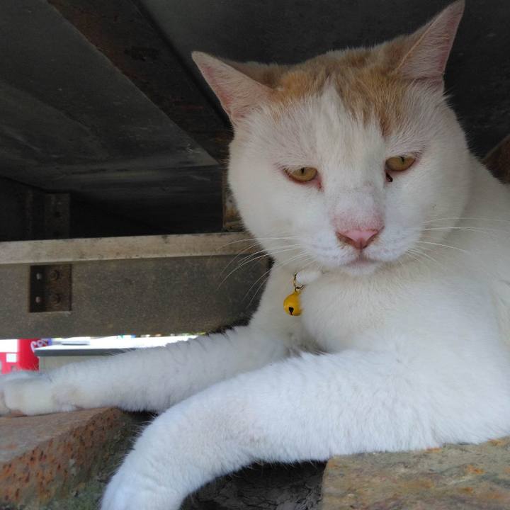 41e8c936 07c8 4827 a2f7 a5254cd6aa8e 1687045989988