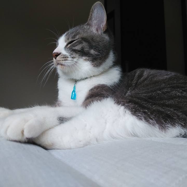 41e8d155 7282 4b6f afa7 281c1cafb3be 1586048117355