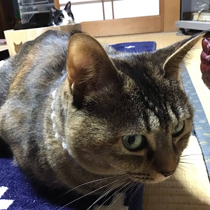 41e8f298 ef29 40e4 8d5d 01cb71693094 1737017870694