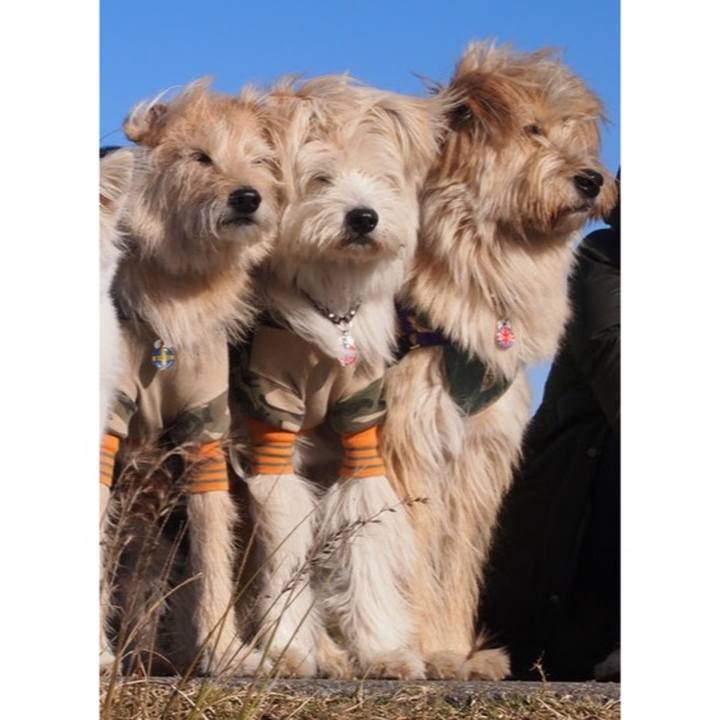 41e96b7f 473d 421a bbeb 8ca27e8eb864 1598945067992