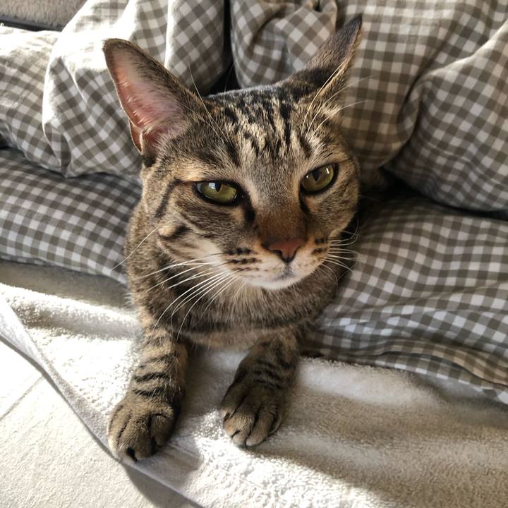 41e96eb1 3710 4e56 8139 9f3b148a8d52 1605759911786