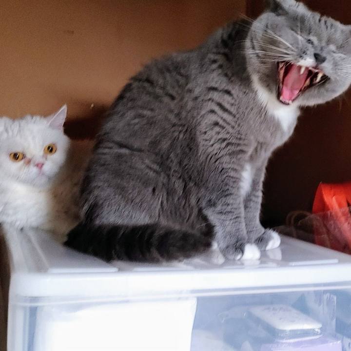 41e9789f 7e93 48c1 a03c a78a998f5e39 1729163120934