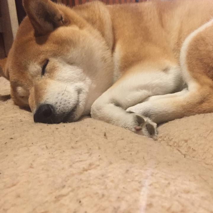 41e993a4 b83b 41fc b87f e2aa57beb0c8 1510323263254