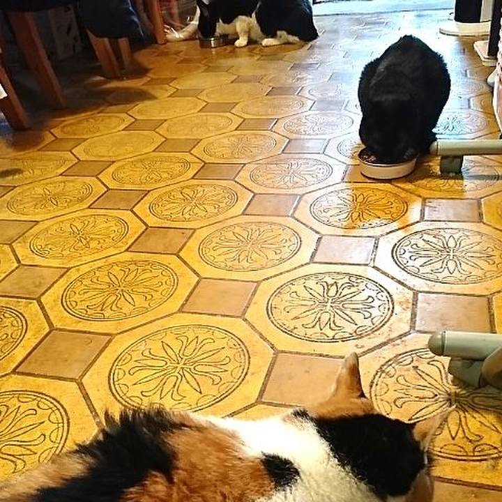 41ea0d0b d4f1 44f4 95e6 ea1e426a8055 1535710652028