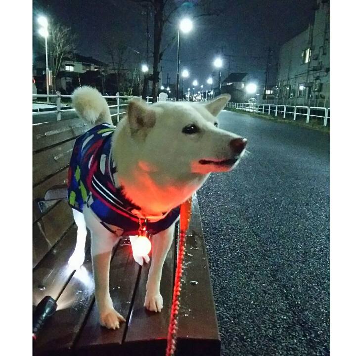 41ea416c 921d 4b50 a0f5 763bdecc5b21 1545815629112