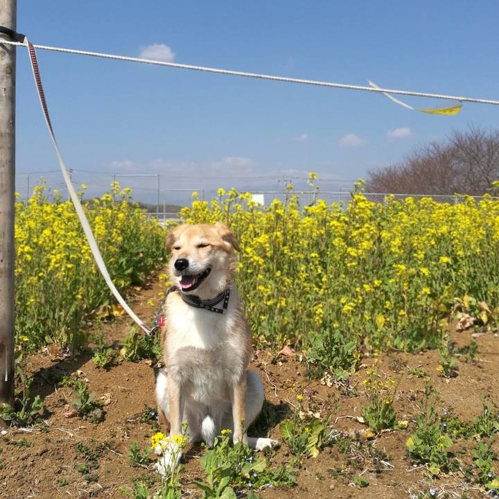 41ea491b 8876 4029 9dda c6998f8bc785 1520135041577