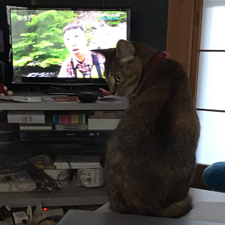 41ea5846 9337 4896 a07d e4104a0843c7 1600119580450