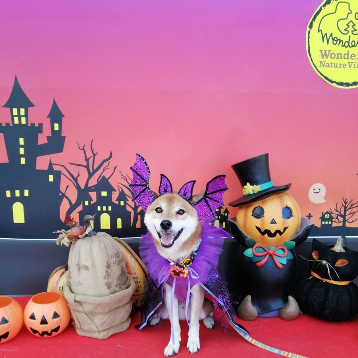 41ea71b3 3010 4e2f a995 384bdd28dcf7 1634986812894