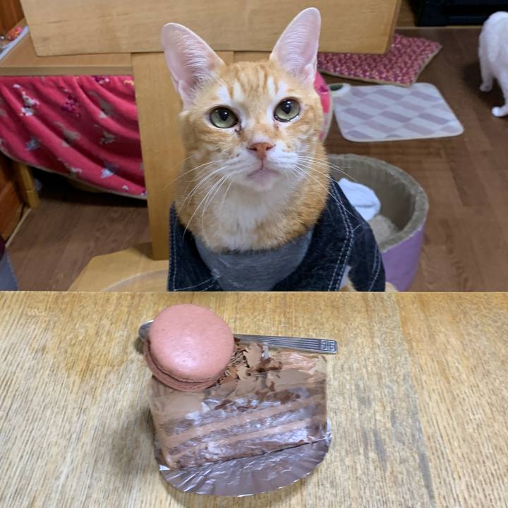 41ea8845 befa 46db 9f16 91004af63042 1647260336342