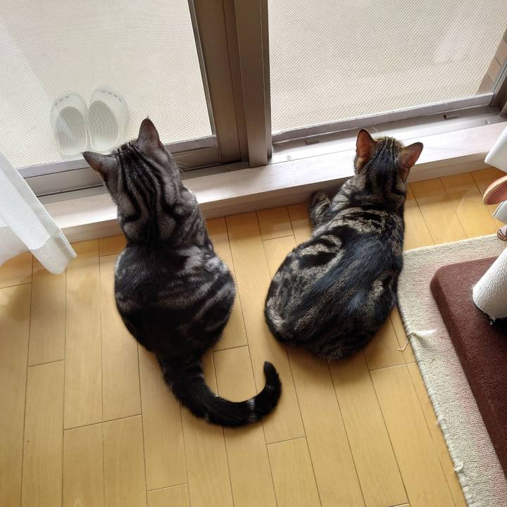 41eaa5eb 02c6 43d0 b078 a2fb640bc12f 1620267186220