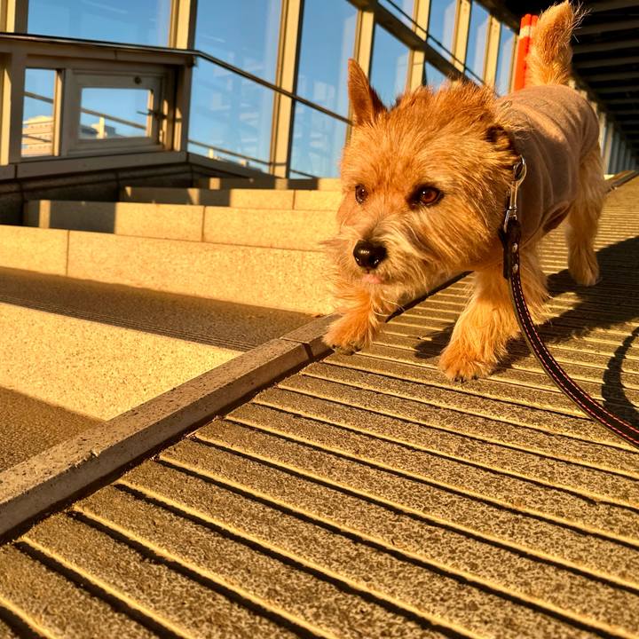 41eab657 a011 47f3 b810 d0863a14a2c8 1739080896797