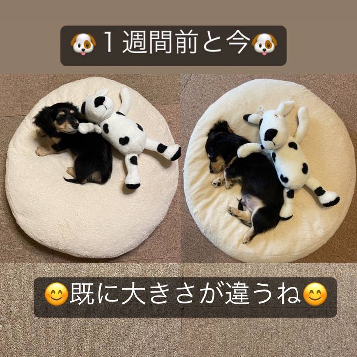 41eac2d4 9c90 4b7b bc4e 60b4e45f0fb7 1665108499165