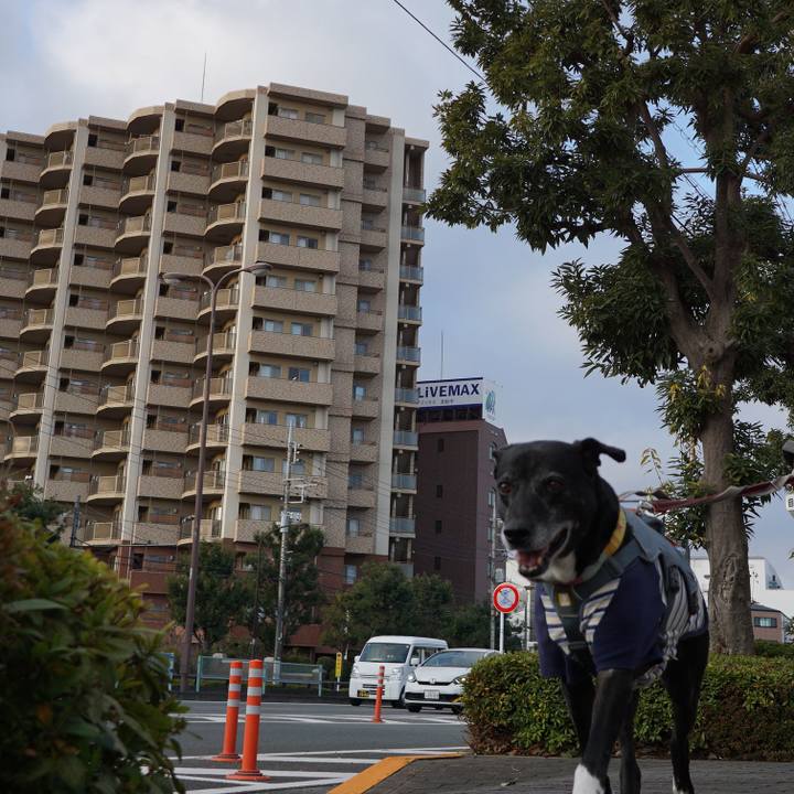 41eac575 bff3 4760 932d b90801758b58 1768610687165