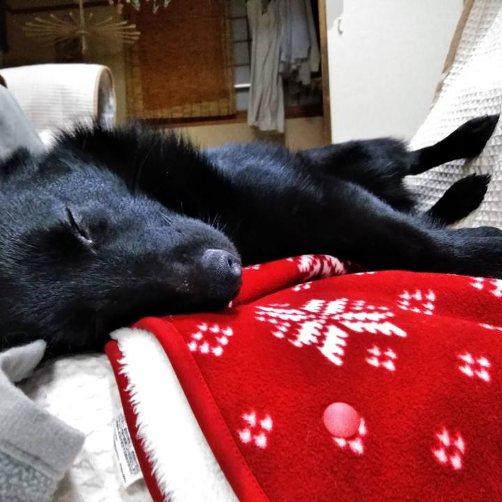 41eafe62 0df3 40c8 8884 c5aba7283fcc 1583670516758