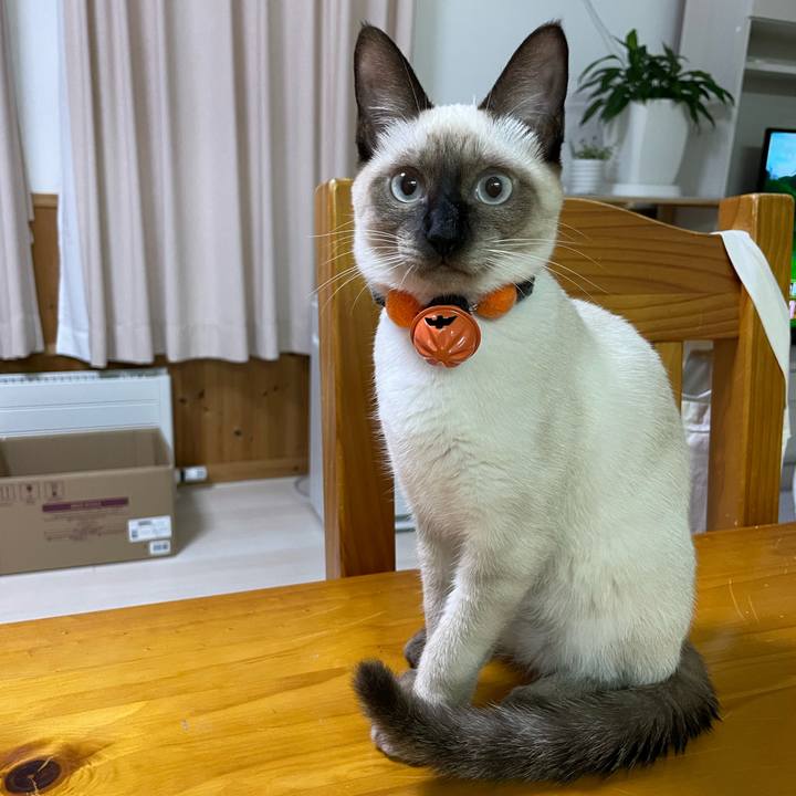 41eb1182 c4f0 4727 85ba f7b2e4bc47de 1696794319661