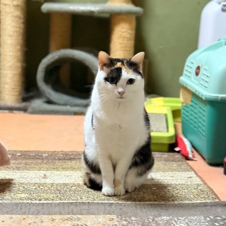 41eb19a0 b78c 4351 b9c6 11fffb355d15 1735170966255