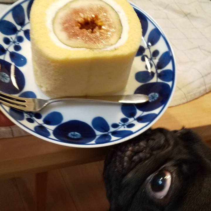 41eb48bf 5849 4cf6 91dc 25db92b1b14a 1595682900617