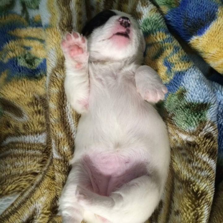 41eb5a05 5d0f 4204 a8ea 8b93c52b1534 1666442279484