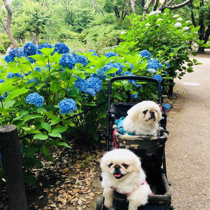 41eb9020 e063 4e65 a88a 5c1521a482aa 1559876458245