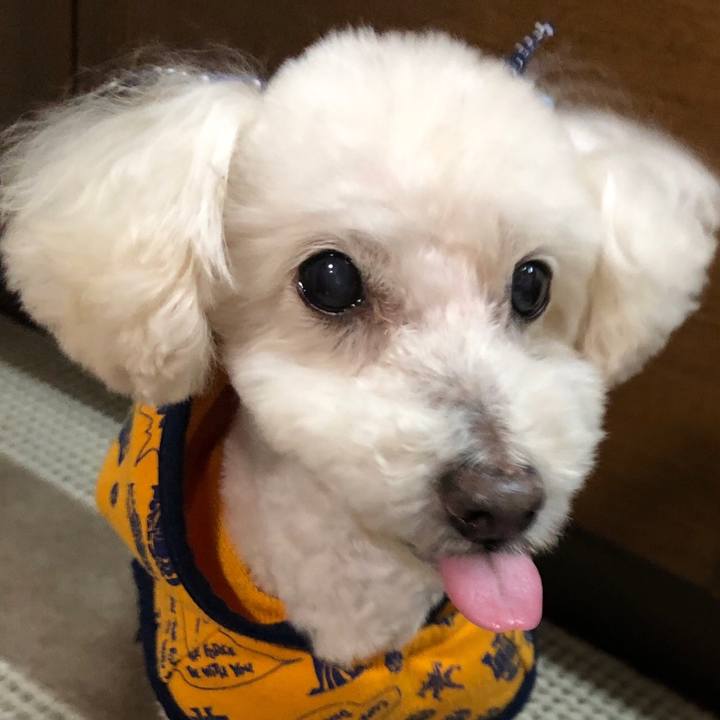 41ebccac 31b0 4e5e 9ad2 9916638a9bf6 1551327517331