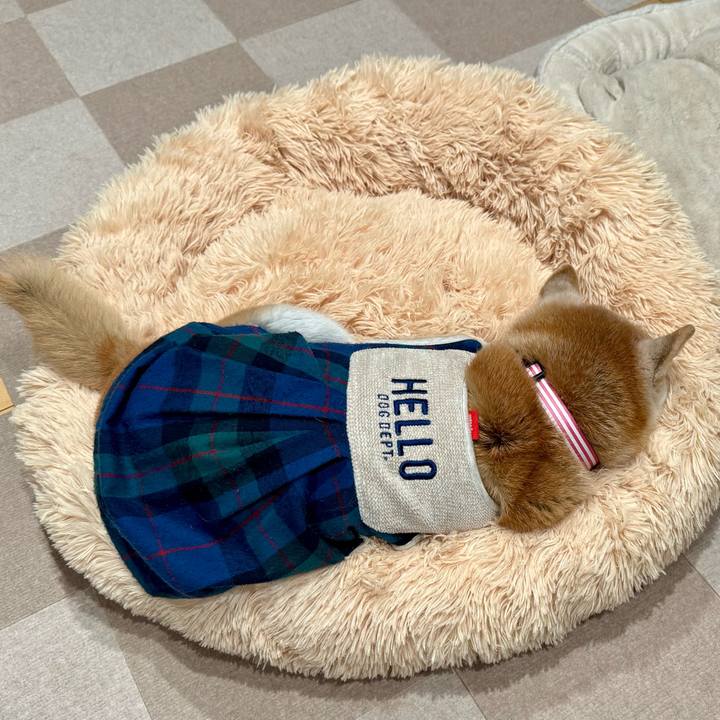 41ebd703 d66e 4948 8784 a23bb4b15bc4 1764686219601